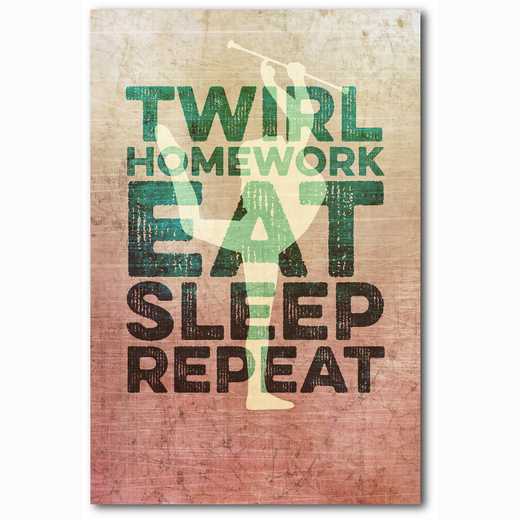 WEB-TS147-12X18: Eat Sleep Repeat Cheer, 12x18